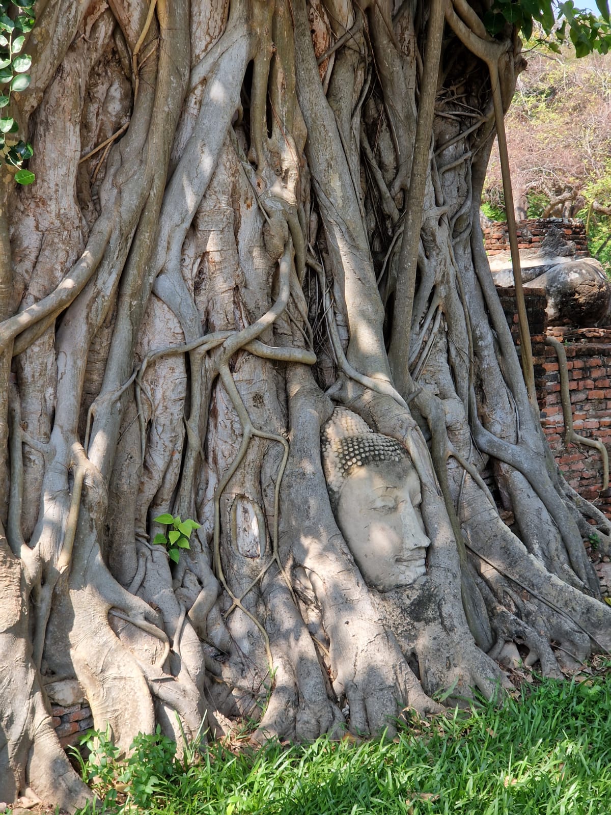Day 3 – Ayutthaya
