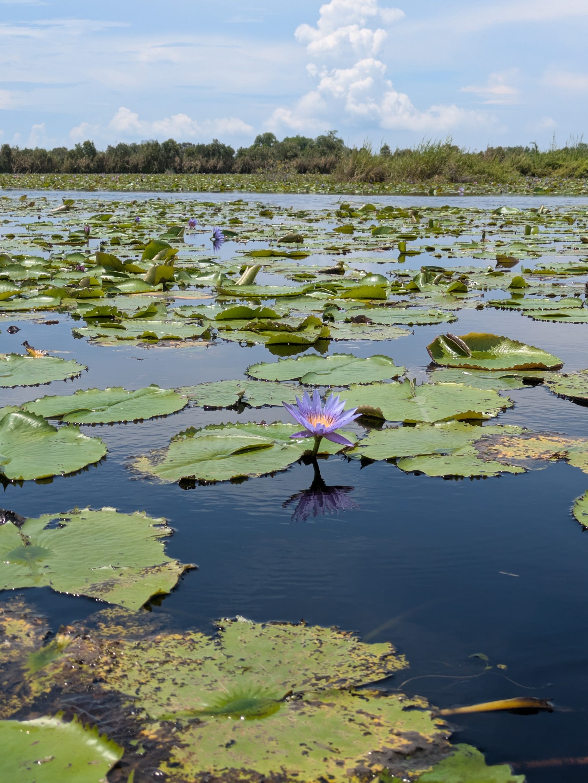 Day 11 – Return to Rayong and Waterfalls